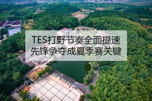 TES打野节奏全面提速 先锋争夺成夏季赛关键