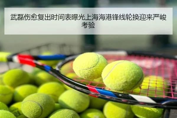 武磊伤愈复出时间表曝光上海海港锋线轮换迎来严峻考验