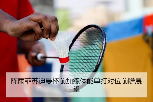 陈雨菲苏迪曼杯前加练体能单打对位前瞻展望