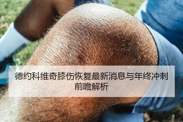 德约科维奇膝伤恢复最新消息与年终冲刺前瞻解析