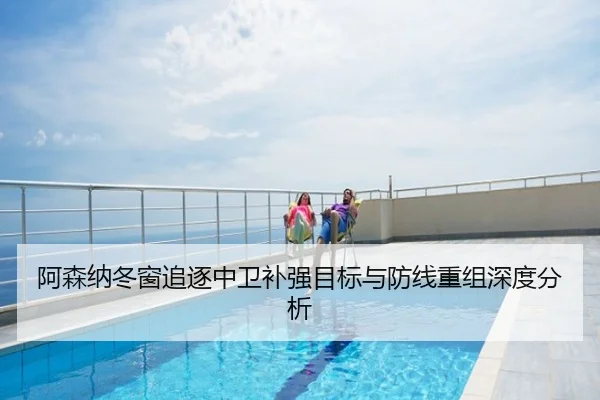 阿森纳冬窗追逐中卫补强目标与防线重组深度分析
